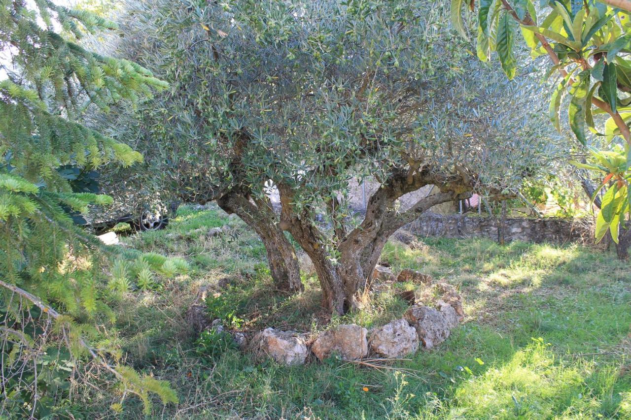 Casa Rural Baobab Romancos Exterior photo