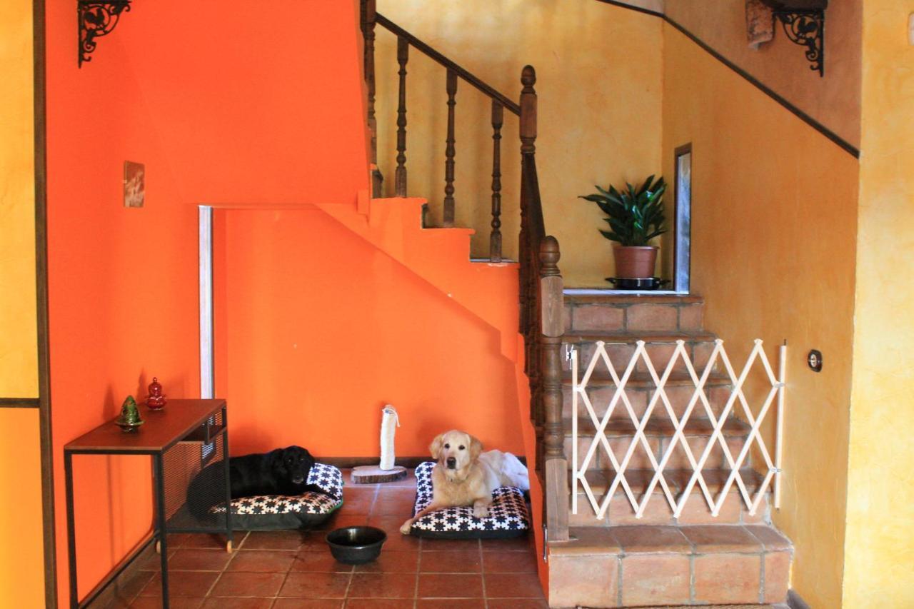 Casa Rural Baobab Romancos Exterior photo